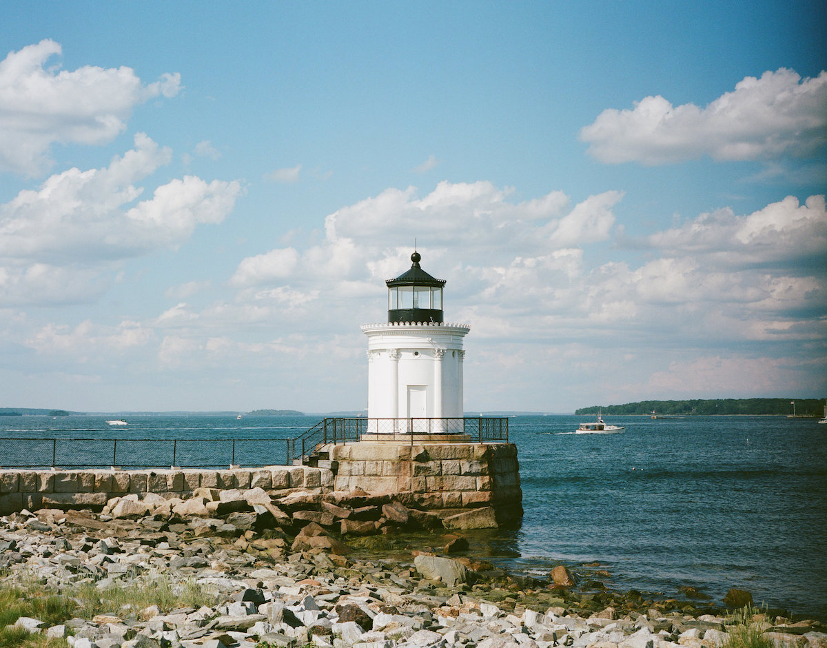 Bug Light