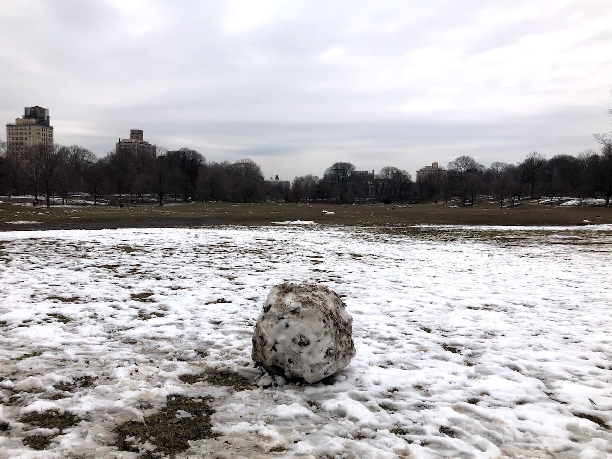 A well-loved snowball